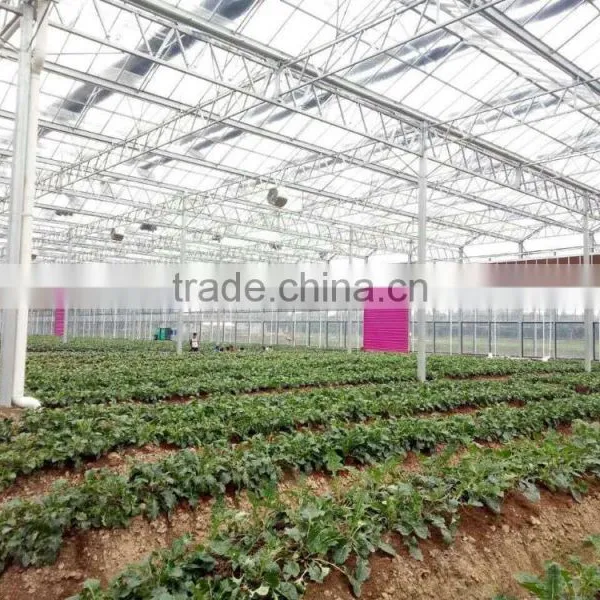 High Quality Best Price Wet Curtain /Cooling Pad photo-6
