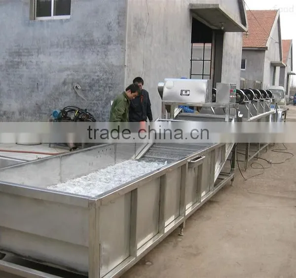 Hot Sale Vegetable Bubble Washing Machine/bean Sprout Washer Machine/bean Washing Machine photo-5