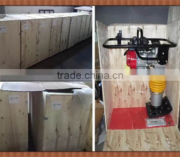 Hot Sale China Tamping Rammer Price CJ70 photo-5