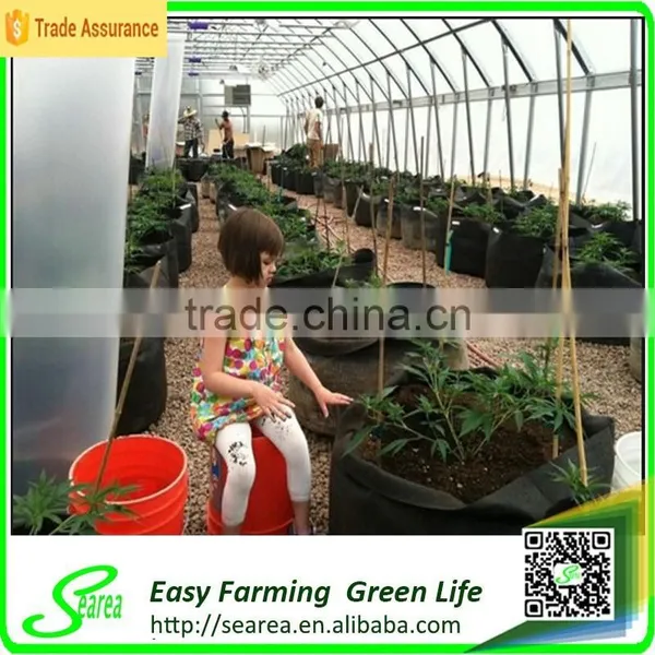 New Style Single Span Agricultural Plastic Greenhouse photo-2