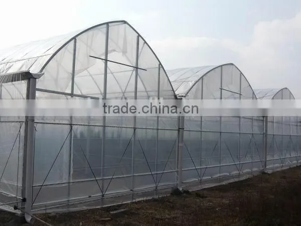 Cheap Flat Roof Greenhouse photo-5