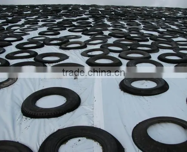 Green/white, Blue /white Silo Cover photo-3
