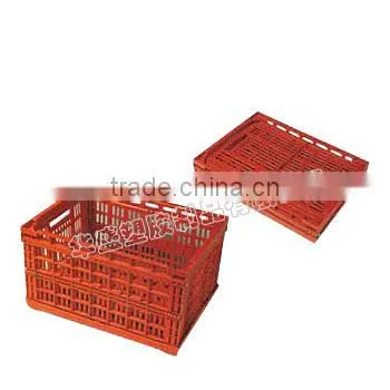 Folding Box