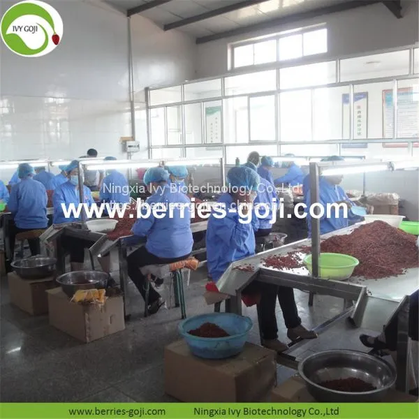 Factory Supply New Harvest Dried Goji Berries photo-4