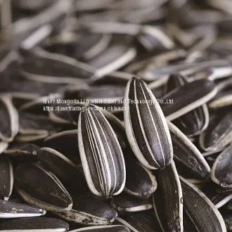2017 Chinese Black Striped Sunflower Seeds