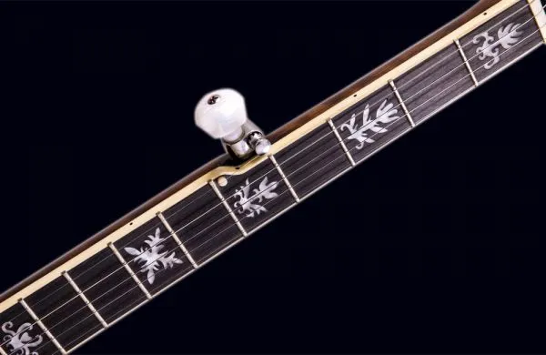 Banjo, 22 Fret,5 String,Openback, High Grade, Customizable FBJ-N45F photo-3