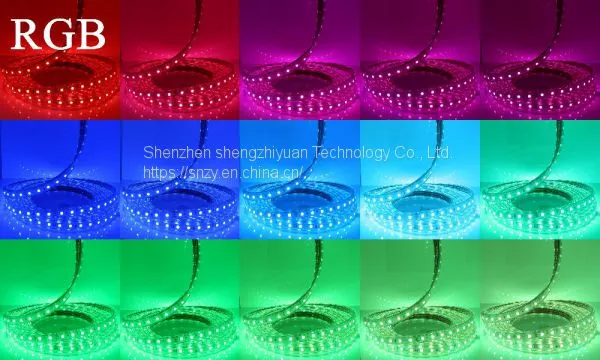 220V 60leds/m IP67 Waterproof Led Light Strip SMD5050 1 Meter Flexible Led Strip Light Christmas Party Led Flexible Tape photo-5
