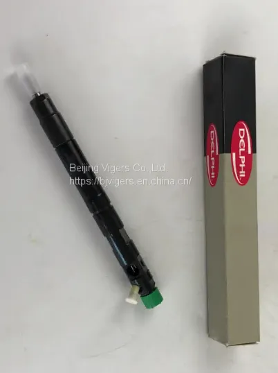 Embr00101d Diesel Engine Injector Fuel Injector Common Rail Diesel Fuel Injector Delphi photo-2