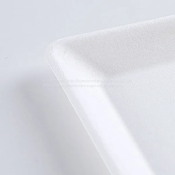 Disposable Biodegradable 6 INCH Square Plate Take Away Sugarcane photo-4