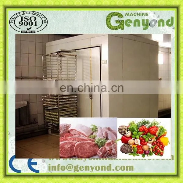 Cauliflower/broccoli Vegetable Quick Freezing Iqf Tunnel Freezer Equipment/iqf Machine photo-3