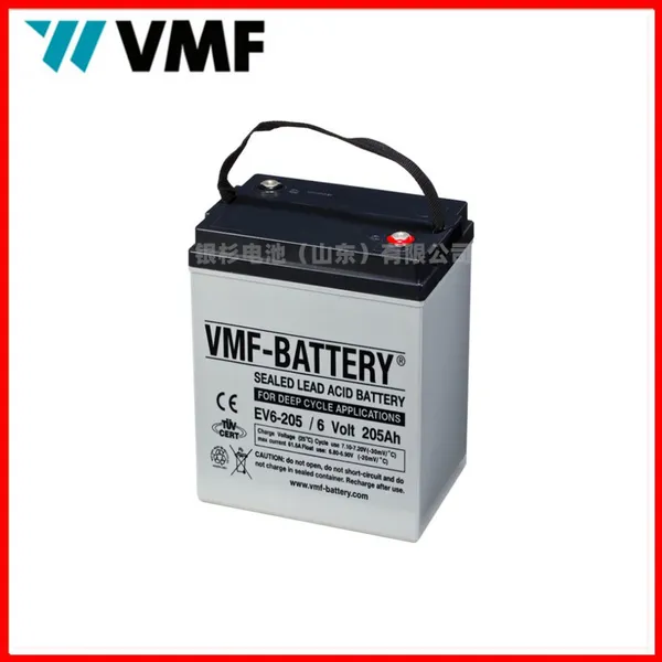 German VMF Battery DC160-12 Golf Cart Floor Scrubber 12V160AH Power Battery