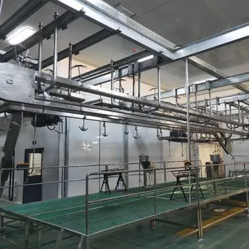 Halal Standard Cattle Slaughter Box SUS304 Stainless Steel Livestock Stunning Bleeding Box for Beef Abattoir Processing Line photo-2