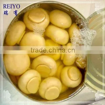PNS Mushroom Pickled Salty in Tins photo-4