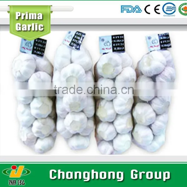 Directly Supply 10kg Mesh Bag Garlic photo-3