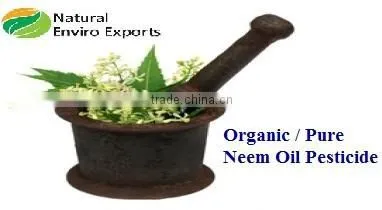 Cold Pressed Organic Certified Neem Oil ; Best Price Natural Neem Oil