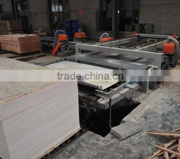 Plywood Saw Cutting Machine,wood Cutting Panel Saw Machine,panel Saw Machine photo-6