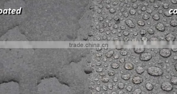 Auto Refinish Usage and Easy-standing Nano Car Glass Coating photo-2