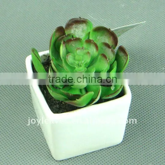 Artificial Succulent Plants,Bonsai Plants