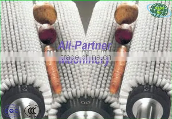 Hot Sale Potato Garlic Cleaning Peeling Machine for Commercial Use photo-5