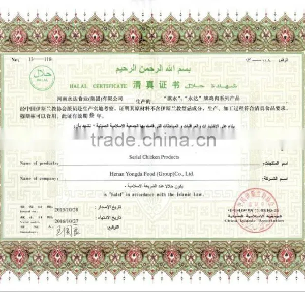 Halal Fresh Frozen Chicken Fillet photo-2