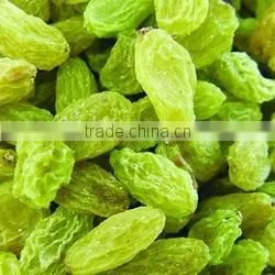 China Hot Sale AD Sweet Dried Green Raisins for Sale photo-4