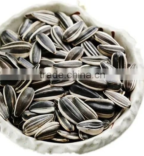 363 Sunflower Seeds From Inner Mongolia photo-3
