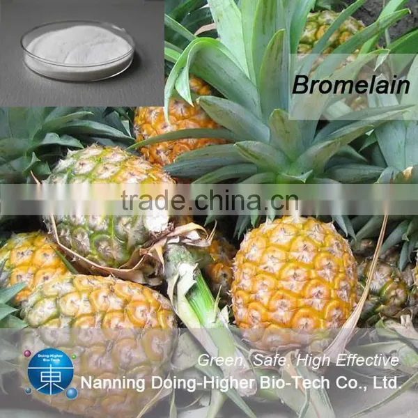 Lowest Price Bromelain Powder Manufacturer Supply Pineapple Flavour Powder photo-3