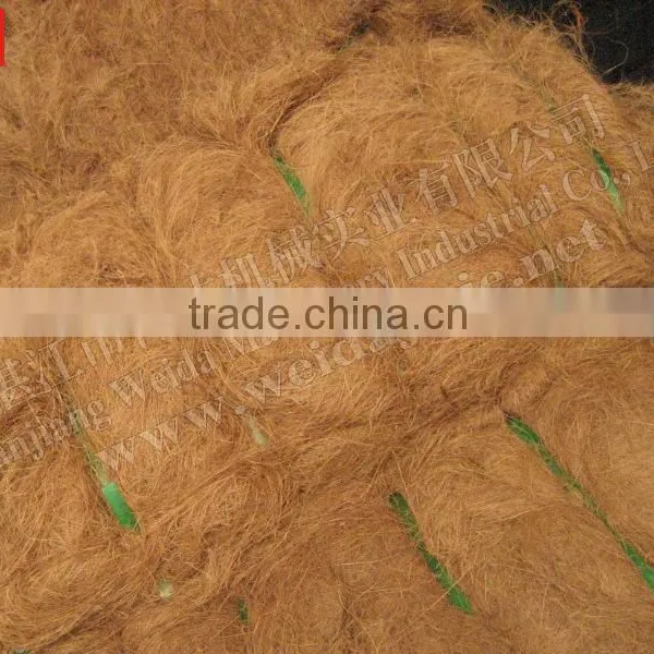 Sisal Coconut Palm Fiber Open Extracting Machine photo-6