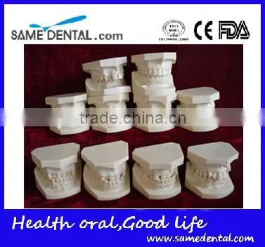 Malocclusion Classification Demonstration Model 2 photo-6