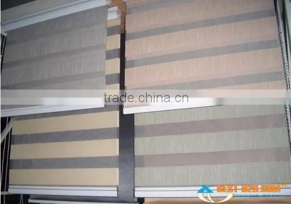 All Kinds of Zebra Blind Sheer Window Covering