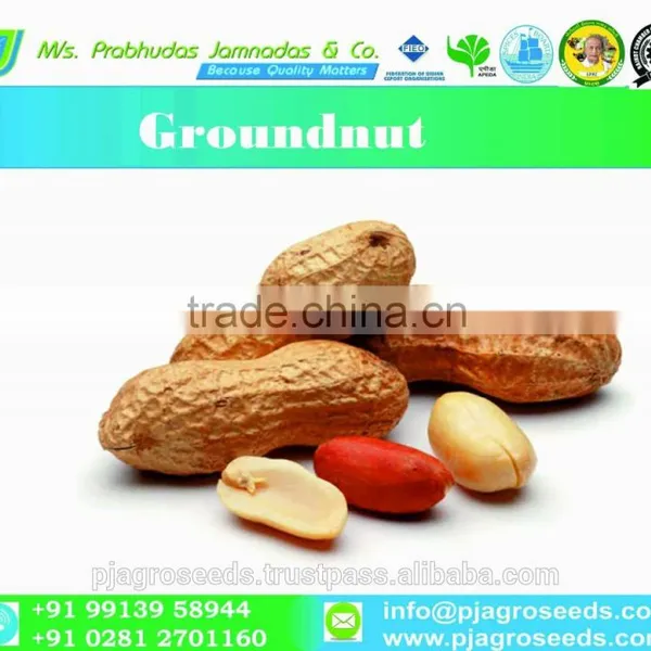 Groundnut for Seed/Bold Groundnut/Java Groundnut