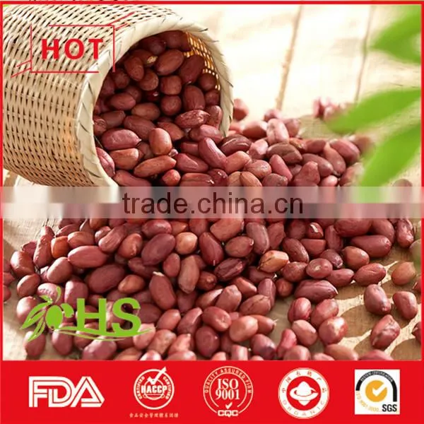 Blanched Peanut Kernel/Peanuts in Red Shell/Peanut Kernels photo-3