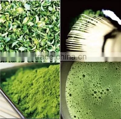 Healthy and Nutritious Benefits of Green Tea at Reasonable Prices , Small Lot Order Available