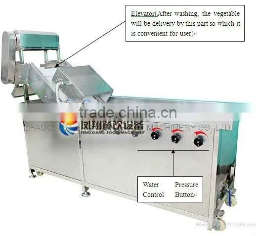 Domestic Horizontal Crown Low Voltage Vegetable Washing Machine photo-2