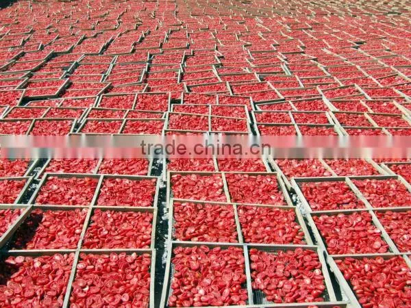 China Sun Dried Tomatoes photo-3
