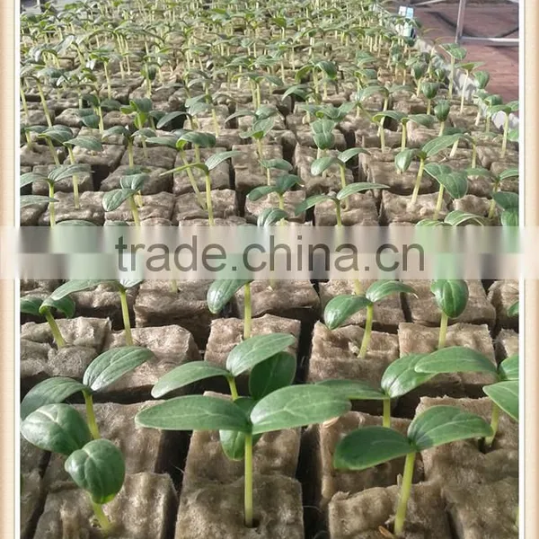 Fireproof & Waterproof Hydroponic Grow Systems Hydroponic Rockwool Rock Wool Cubes photo-3