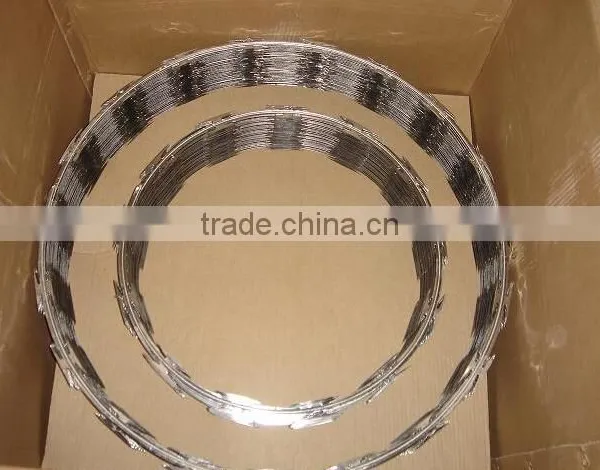 Wholesale CBT-65 Hot-dipped Galvanized Razor Barbed Wire photo-5