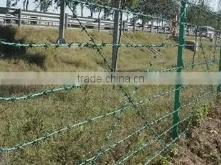 QIang Yu Factory Best Price Barbed Wire photo-6