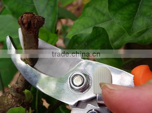 Steel Pruning Tools Garden Hand Prunner photo-3