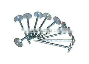 Roofing Nails/roofing Nail Supplies photo-4