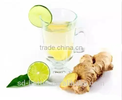Hot Sale Instant Lemon Ginger Tea, Instant Herbal Slimming Tea, Instant Ginger Drink photo-4