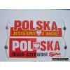 Advertisement Flag/Advertisement Banner/fan Banner/Roller Banner/Extendable Banner/Flexible Banner/Fan Roller/Roll Banner/ Fanba