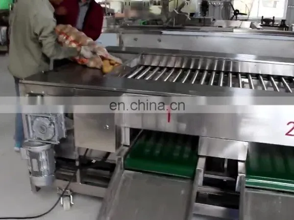ZH-FX4 vegetable sorting machine bluebery sorter dates sorting machine