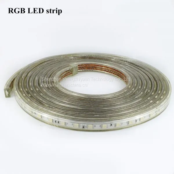 220V 60leds/m IP67 Waterproof Led Light Strip SMD5050 1 Meter Flexible Led Strip Light Christmas Party Led Flexible Tape photo-4