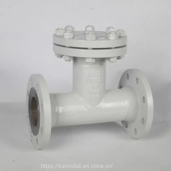 DN50-400mm T Type Straight Through Strainer photo-5