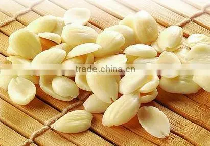 Natural Bitter Apricot Kernel/bitter Apricot