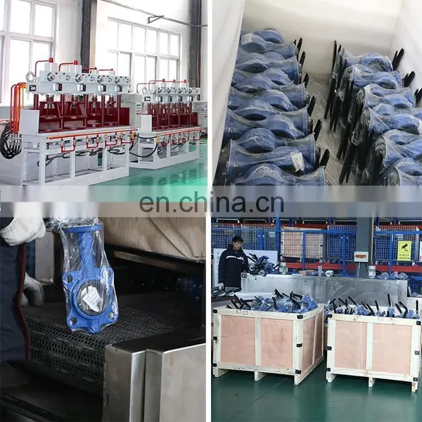 Ductile Iron Rubber Single Door Check Valve Flap Non Return Valve photo-5