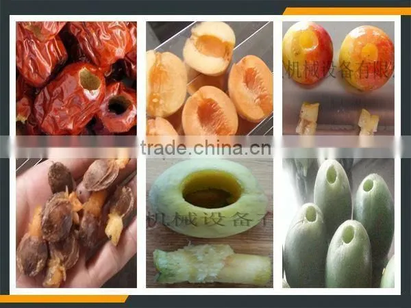 Leader New Design Date Pitting Slicing Machine With Website:leaderservice005 photo-6