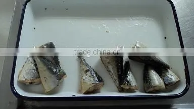 High Quality Canned Mackerel in Brine photo-4