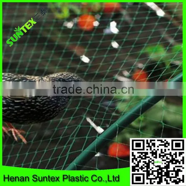 Supply Vineyard Anti Bird Net/bird Capture Nets With Low Price photo-3